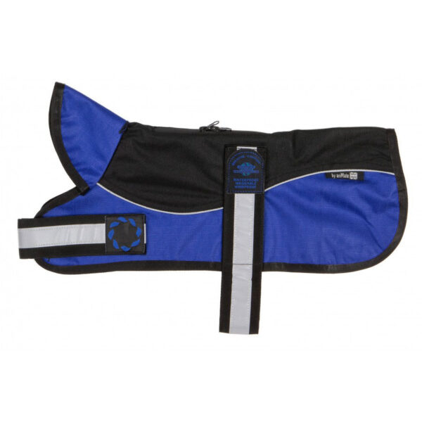 Animate Unpadded Harness Coat Blue