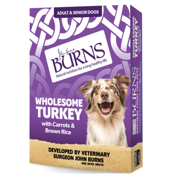 Burns Complete Wet Dog Food Adult & Senior Wholesome Turkey  395g