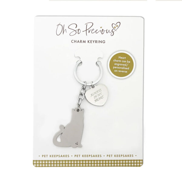 Oh So Precious Cat & Charm Keyring