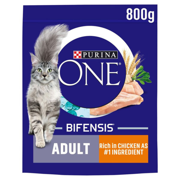 Purina ONE Complete Dry Cat Food Adult Chicken