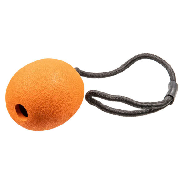 Tuffs Floating Foodie Rubber Orange Dog Toy