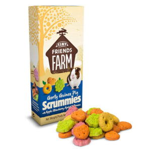 Tiny Friends Farm Gerty Guinea Pig Scrummies Treats 120g