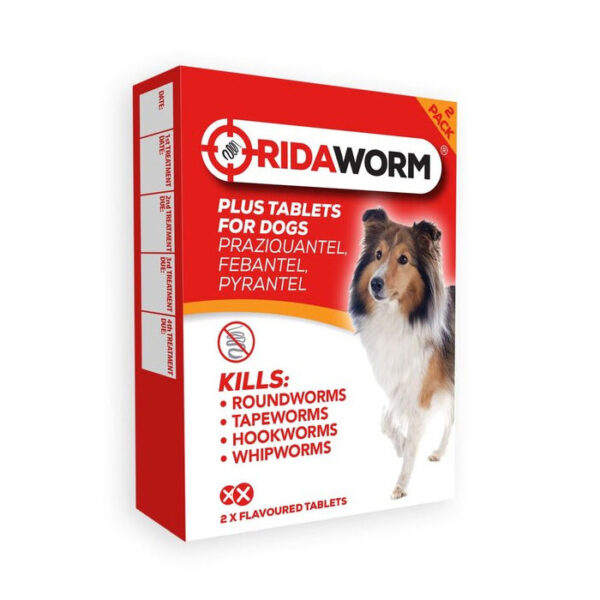 Ridaworm Plus for Dogs 2 Tablets